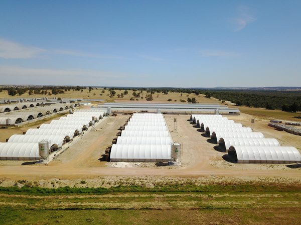 Tarpaulins for Dome Structures
