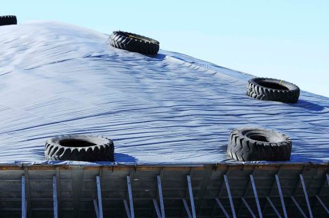 roof tarps