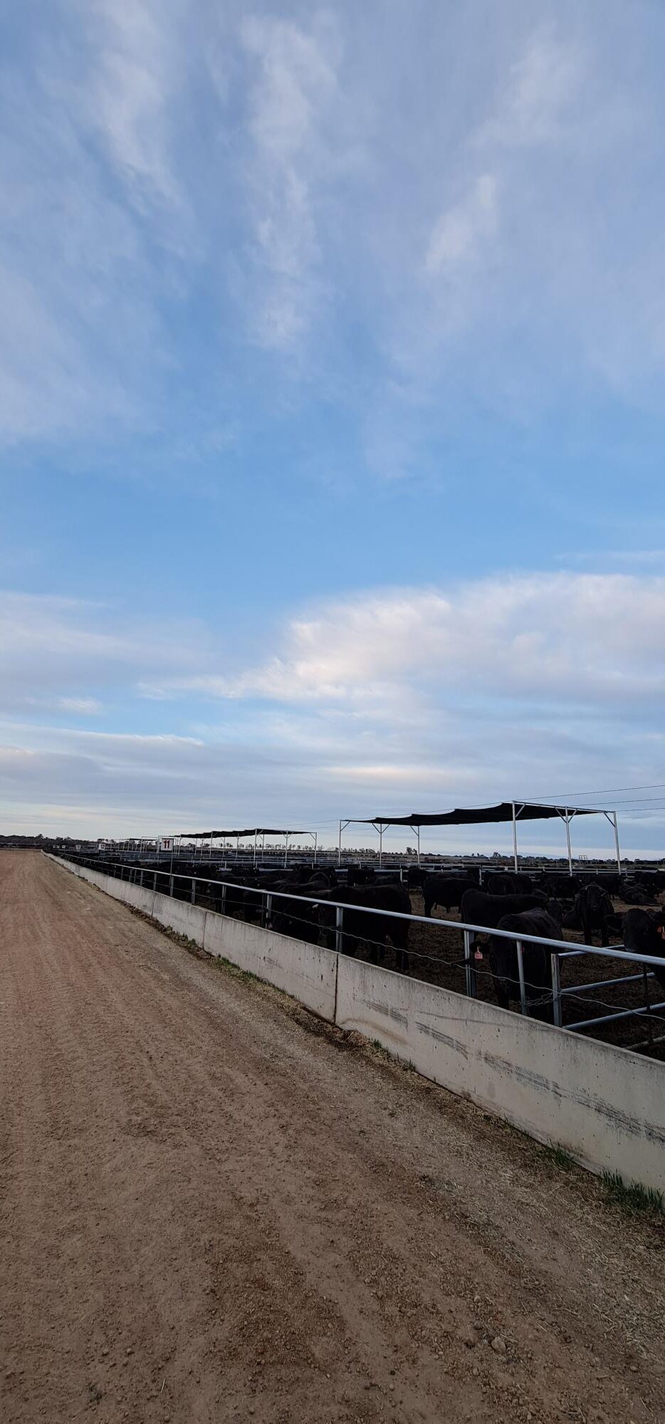 Cattle station shade structure